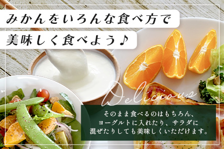 B-345《まぼろしのみかん》鹿島 平倉果樹園のみかん『今村』 約5.5kg サイズ混合 みかん 希少 幻 まぼろし 蜜柑 ミカン オレンジ フルーツ 果物 高糖系 平均糖度12度 佐賀県 鹿島市 人気 おすすめ 送料無料【2026年2月上旬から2月末まで配送】