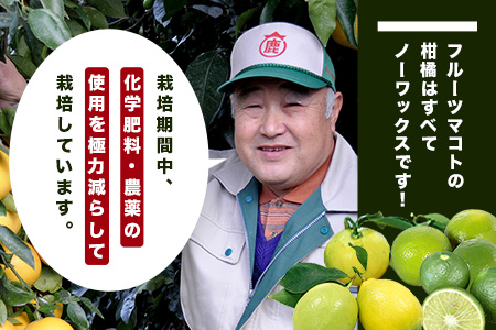 B-366 香酸柑橘類セット （リスボンレモン・キノス・げんこう・ライム）【約5kg 】メディアも注目の柑橘類の名人直送！かんきつ 柑橘 檸檬 れもん レモン 木酢 げんこう 薬味風味付け 国産 九州産 鹿島市産 佐賀県 鹿島市