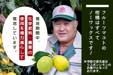 B-367リスボンレモン【約5kg】メディアも注目の柑橘類の名人直送！レモン れもん 檸檬 果物 生搾り 料理 菓子 サワー お酒 国産 佐賀県鹿島市産 人気