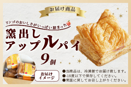 B-413　窯出しアップルパイ９個入り