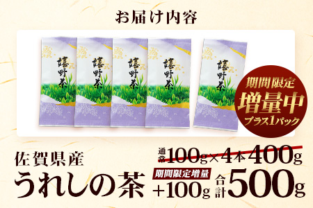 期間限定増量【ギフトにおすすめ】 佐賀県産 うれしの茶 (やぶきた茶) 100g×5本【合計500g】美味しいお茶を贈り物に B-570