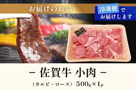 佐賀牛 焼肉 セット 小肉 500g ( カルビ ロース ) 黒毛和牛 詰め合わせ 焼肉セット B-840