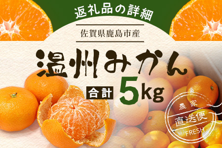 温州みかん 5kg　B-841