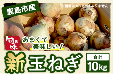 【予約受付】鹿島市産 新玉ねぎ 合計10kg B-842 たまねぎ 玉葱 サラダ 料理【2026年4月中旬より順次発送】