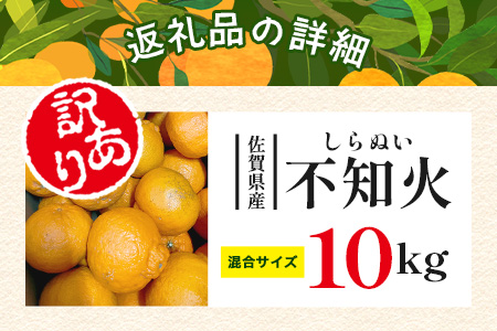 B-896【訳あり】 佐賀産不知火 約10kg（箱込み）佐賀県 鹿島市