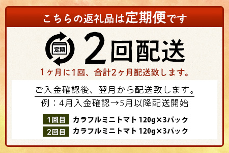 【2回定期便】【先行予約】 カラフルミニトマト 【少量パック】120gx3p　たにぐちファーム カラフルミニトマト 360g とりこになるトマト 野菜 とまと トマト リコピン 佐賀産 佐賀県 鹿島市　C-147 カラフルミニトマト 【2回定期便】
