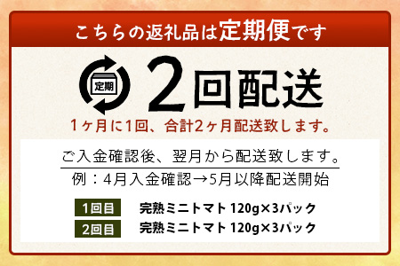 【2回定期便】【先行予約】完熟ミニトマト 【少量パック】120gx3p　たにぐちファーム 完熟ミニトマト 360g とりこになるトマト 野菜 とまと トマト リコピン 佐賀産 佐賀県 鹿島市　C-148 完熟ミニトマト 【2回定期便】