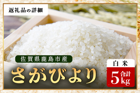 【鹿島市産】＼生産者直送／ さがびより 白米5kg　さがびより 佐賀県産さがびより 佐賀県鹿島市 お米 米 精米 玄米 ふるさと納税 お米 ご家庭用米 主食ギフト 美味しいお米 お取り寄せ 贈答用米 食卓応援　C-153  白米5kg