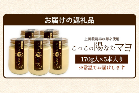 ＼濃厚卵のマヨネーズ／瓶詰め マヨネーズ 5本セット | 上田養鶏場のこっこの陽なたマヨ 170g | マヨネーズ マヨ 調味料 たまご 平飼い お料理 安心 安全 玉子 サラダ ディップ ポテトサラダ ドレッシング 送料無料　C-173