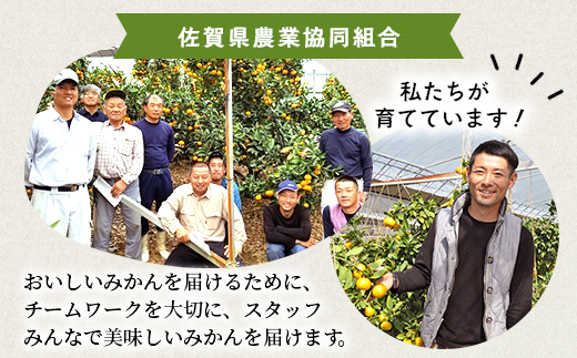 C-28 高級 JA ハウスみかん（2.2kg）【化粧箱入】【2025年8月上旬頃まで発送予定】夏にしか味わえない期間限定の美味しいハウスみかん★ 蜜柑 ミカン 果物 フルーツ くだもの  甘い 絶品 安全安心 新鮮 人気 大好評 おすすめ   佐賀県 鹿島市 送料無料