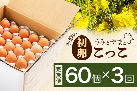 【定期便】たまご 佐賀鹿島産 平飼い初卵「うみとやまとこっこ」 上田養鶏場 たまご60個×3回 タマゴ 玉子D-117 60個×3回