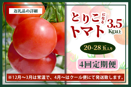 【先行予約】 たにぐちファーム とりこになるトマト 【3.5kg以上×4回定期便】【2025年12月から出荷】Ricotomato とりこになる トマト [定期便 野菜定期便 定期 野菜 トマト 新鮮 サラダ 生野菜 とまと おすすめ 送料無料] D-160
