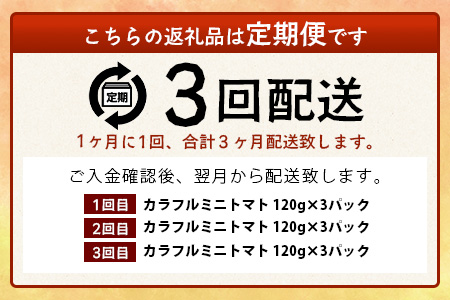 【3回定期便】【先行予約】 カラフルミニトマト 【少量パック】 120gx3p　たにぐちファーム カラフルミニトマト 360g とりこになるトマト 野菜 とまと トマト リコピン 佐賀産 佐賀県 鹿島市　D-241 カラフルミニトマト 【3回定期便】