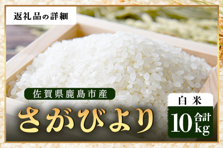 【鹿島市産】＼生産者直送／ さがびより 白米10kg　さがびより 佐賀県産さがびより 佐賀県鹿島市 お米 米 精米 玄米 ふるさと納税 お米 ご家庭用米 主食ギフト 美味しいお米 お取り寄せ 贈答用米 食卓応援　D-250 白米10kg