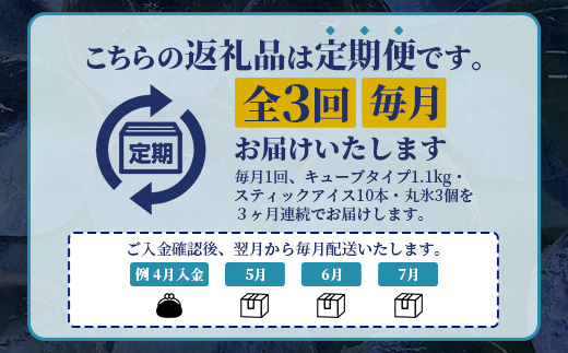 定期便 (3回定期便) さがん氷 バラエティセット 【キューブタイプ1.1kg・スティックアイス10本・丸氷3個】D-279 藤津製氷 こおり 氷 ロック アイス 佐賀 鹿島 九州
