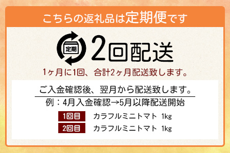 【先行予約】 カラフルミニトマト『Ricotomato』 【1kg×2回定期便】【2026年1月から出荷】 D-92