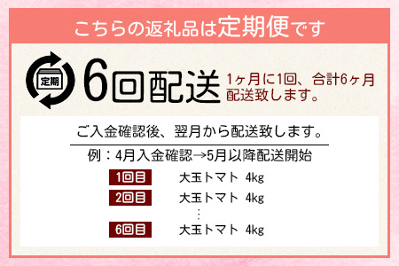 E-107　【先行予約】たにぐちファーム 大玉トマト 【4kg×6回定期便】【2023年12月から出荷】Ricotomato とりこになるトマト