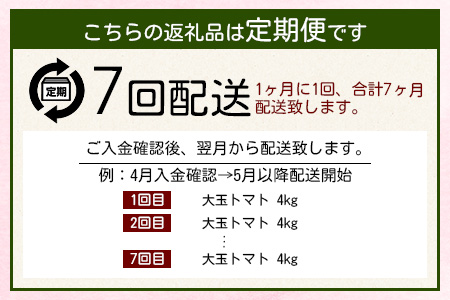 E-108 【先行予約】 たにぐちファーム 大玉トマト 【4kg×7回定期便】【2023年12月から出荷】 Ricotomato とりこになるトマト