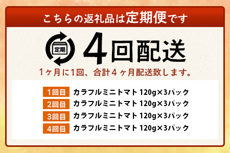 【4回定期便】【先行予約】 カラフルミニトマト 【少量パック】 120gx3p　たにぐちファーム カラフルミニトマト 360g とりこになるトマト 野菜 とまと トマト リコピン 佐賀産 佐賀県 鹿島市　E-159 カラフルミニトマト 【4回定期便】