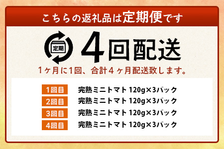 【4回定期便】【先行予約】完熟ミニトマト 【少量パック】120gx3p　たにぐちファーム 完熟ミニトマト 360g とりこになるトマト 野菜 とまと トマト リコピン 佐賀産 佐賀県 鹿島市　E-160 完熟ミニトマト 【4回定期便】