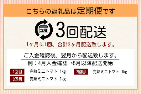 【先行予約】【2026年1月から出荷】 完熟ミニトマト『Ricotomato』 【1kg×3回定期便】 E-68