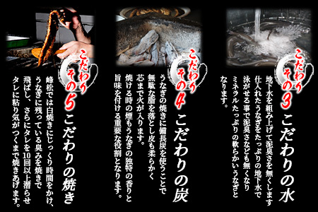 国産 うなぎの蒲焼（１尾入り）３か月定期便  |大型サイズ 国産 鰻 ウナギ 蒲焼き タレ付き 密封パック入り 佐賀県 鹿島市 冷蔵　E-81 ３か月定期便（１尾入り）