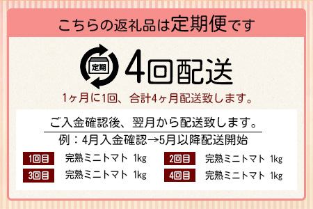 【先行予約】【2026年1月から出荷】 完熟ミニトマト『Ricotomato』 【1kg×4回定期便】F-32