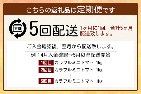 【先行予約】 カラフルミニトマト『Ricotomato』 【1kg×5回定期便】【2024年12月から出荷】 G-24