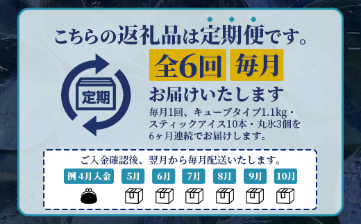 定期便 (6回定期便) さがん氷 バラエティセット 【キューブタイプ1.1kg・スティックアイス10本・丸氷3個】G-69 藤津製氷 こおり 氷 ロック アイス 佐賀 鹿島 九州