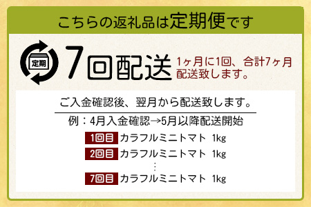【先行予約】 カラフルミニトマト 『Ricotomato』 【1kg×7回定期便】 【2023年12月から出荷】 I-18