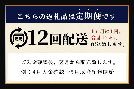 【12回定期】佐賀牛ハンバーグ調理済　130g×4個(ジャポネソース付)｜佐賀県 鹿島 生ハンバーグ 定期便 肉汁 ジューシー 焼きたてハンバーグ 牛肉 手ごねハンバーグ 本格ハンバーグ 贅沢な食事　O-7 12回定期便