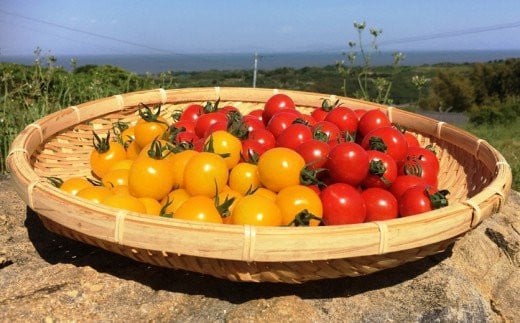 【野菜ソムリエ選定】A-4 肥前の国のお野菜詰め合わせセット