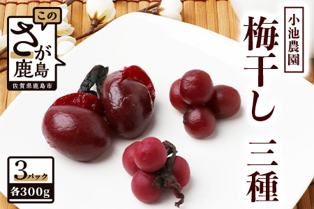 《小池農園》小梅の紅梅漬・小梅の天然しそ漬・紅梅漬３種類セット（各300g） B-467