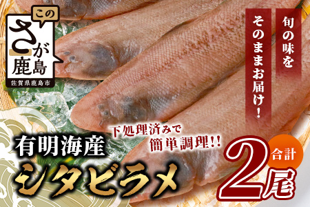 【下処理済で簡単調理】有明海産 シタビラメ約150g×2尾【合計約300g】煮つけ・唐揚げにおススメ【脂ののって美味しい】鮮度抜群 A-154