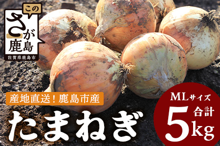 【先行予約】鹿島市産　玉ねぎ　5kg（MLサイズ）農家直送　５月以降発送予定　A-179