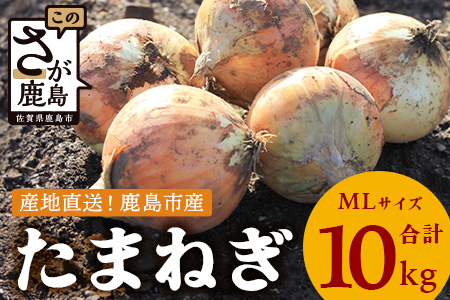 【先行予約】鹿島市産　玉ねぎ　10kg（MLサイズ）農家直送　５月以降発送予定　B-736