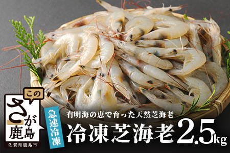 B-357 冷凍芝エビ（真エビ）2.5kg（500g×5パック）