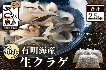B-433【有明海産】希少！新物！生クラゲ2.5ｋｇ（ビゼンクラゲ）