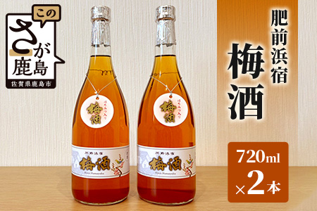 B-579　浜宿梅酒 720ml 2本