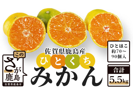 AA-37 毎年大人気！【先行予約】平倉果樹園のひとくちみかん約5.5kg｜鹿島産 小玉みかん（5cm前後）｜贈答用・お取り寄せ ギフト｜温州みかん「ゆら」｜九州 佐賀県 鹿島市産 送料無料