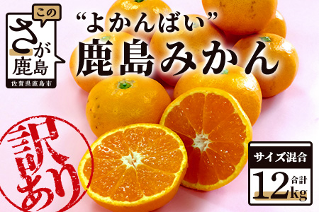 B-374 数量限定『よかんばい』 鹿島産 みかん【大中小サイズ混合 |約12kg】 訳アリ 傷アリ   ミカン 果物 フルーツ 佐賀県 鹿島市 送料無料  【11月中旬から配送予定】