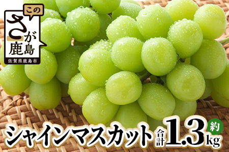 【ふるさと納税】【先行予約】ご家庭用 シャインマスカット 約1.3kg 2～3房 佐賀県産 【2025年8月上旬以降発送】 | ふるさと納税 シャインマスカット マスカット ぶどう 葡萄 果物 フルーツ 果実 季節 旬 冷蔵 期間限定 国産 佐賀県 鹿島市 ふるさと 人気 送料無料 B-658