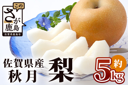 【予約受付 2024年発送分】美味しい ブランド梨【あきづき 梨】約5kg 秋月 フルーツ くだもの 果物 なし 梨 ナシ 贈答 贈り物 プレゼント おくりもの ギフト フルーツギフト B-669