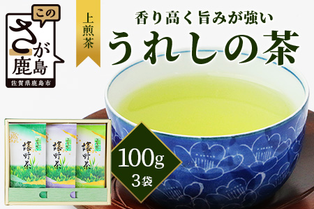 【ギフトにおすすめ】 佐賀県産 上煎茶 うれしの茶 100g×3本【合計300g】美味しいお茶を贈り物に B-666
