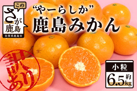 【訳あり】【先行予約】高評価4.5以上！やーらしか鹿島産みかん 6.5kg｜【数量限定】小粒サイズ ご家庭用｜一口で食べられる濃縮旨み｜お子様にも｜生産者直送 国産 佐賀県産 ミカン 蜜柑 果物 フルーツ 送料無料 人気【AA-6】