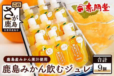 鹿島みかん 飲むジュレ（9本セット） ミカン ジュレ ジュース 果汁飲料 B-654