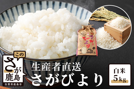B-386【生産者直送】佐賀県鹿島市産 さがびより　白米５ｋｇ