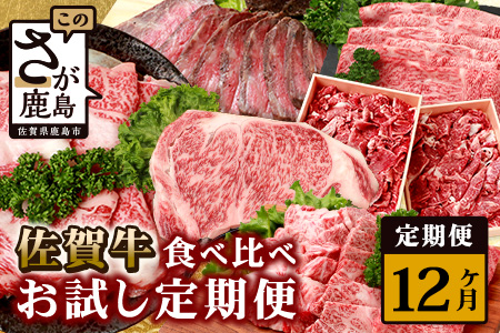 【定期便12回】佐賀牛 食べ比べ 定期便 モモスライス 肩ロース サーロインステーキ 切り落し ローストビーフ 焼肉 サイコロステーキ モモブロック V-45