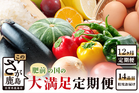 N-9  【１２ヶ月お届け】肥前の国の農産物大満足定期便【 野菜 卵 米 果物 新鮮 セット 詰め合わせ 定期便 産地直送 肥前 】