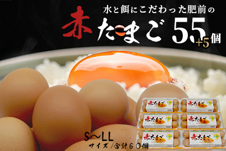 【鹿島市産のたまご】肥前のおいしい赤たまご　６０個（５５個＋破損補償５個入り）　B-711